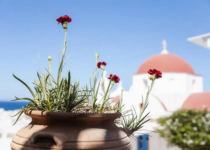 Daire Mooi Boni's Sunset Loft *