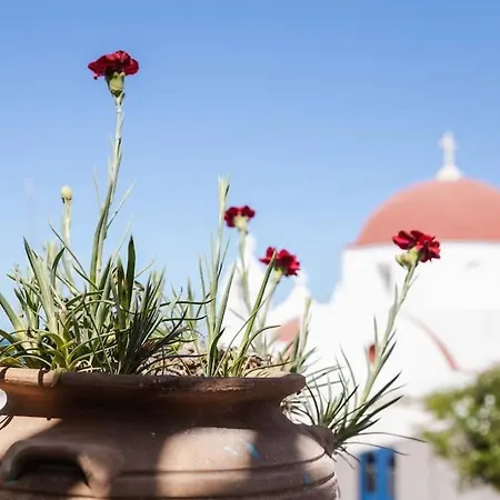 Appartamento Mooi Boni's Sunset Loft *