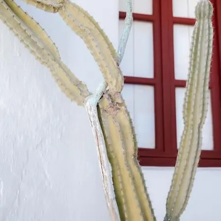 Апартаменты Mooi Boni's Mykonos Town